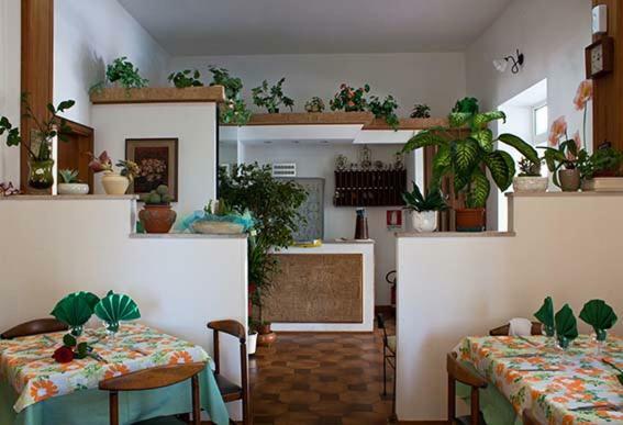 Albergo Lido Silvi Marina Buitenkant foto